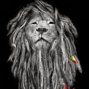 Meet your Posher, Joshwald